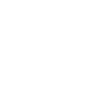 Premier Plus Real Estate Company